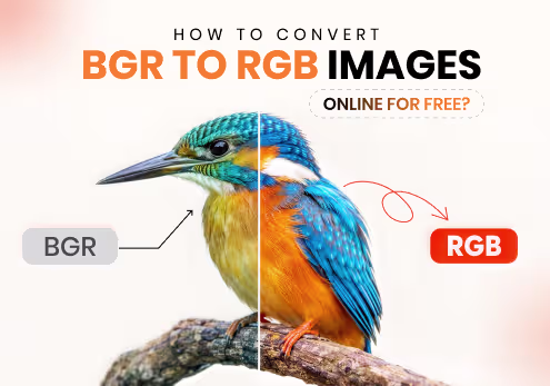 How to Convert BGR to RGB Images Online for Free