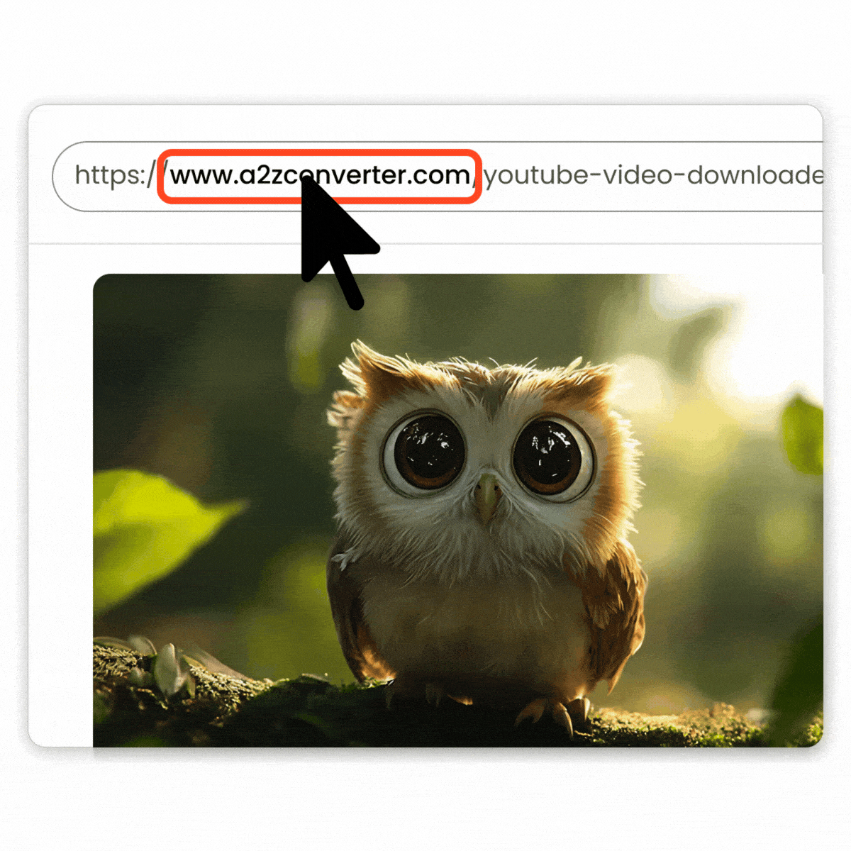 Video Link Is Captured Automatically